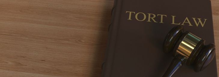 File a Tort Claim if Necessary